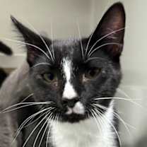 Thumbnail photo of Woody #3