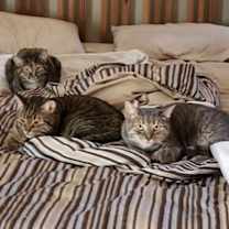 Thumbnail photo of Avery and Lexi #4