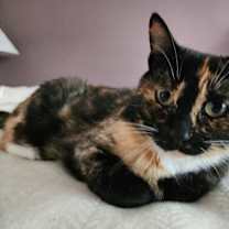 Thumbnail photo of Frida #1