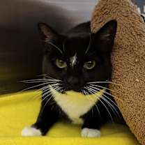 Thumbnail photo of Flora 45240 #2