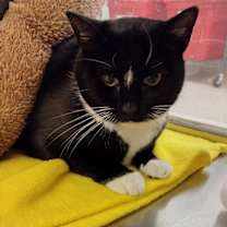 Thumbnail photo of Flora 45240 #3