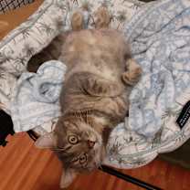 Thumbnail photo of Singer  #3