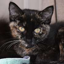 Thumbnail photo of Debbie #3