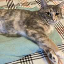 Thumbnail photo of Ellie #2