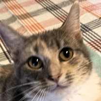 Thumbnail photo of Ellie #4