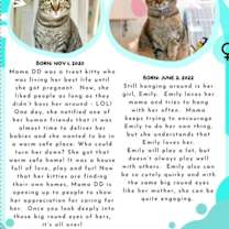 Thumbnail photo of Mama DD & Emily #4