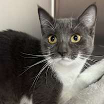 Thumbnail photo of Trixie Mattel #4