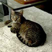 Thumbnail photo of Danya #4