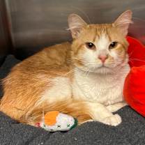 Thumbnail photo of Bryce #4