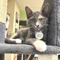 Thumbnail photo of Sabrina Carpenter #1