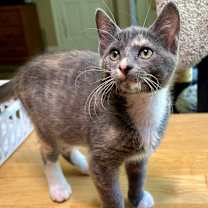 Thumbnail photo of Sabrina Carpenter #2