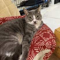 Thumbnail photo of Mia G #3