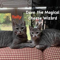 Thumbnail photo of Tally #3