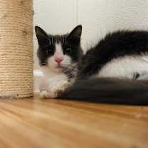 Thumbnail photo of Natalie #2