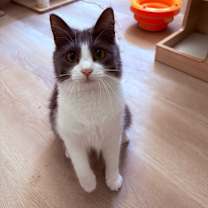 Thumbnail photo of Natalie #3