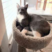 Thumbnail photo of Theo #1