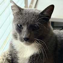 Thumbnail photo of Theo #3