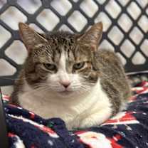 Thumbnail photo of Milly #2