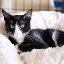 Thumbnail photo of Barret #4