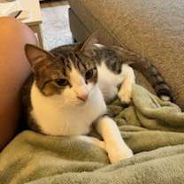 Thumbnail photo of Nellie #2