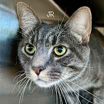 Thumbnail photo of Jr #1