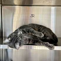 Thumbnail photo of Jr #4