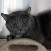 Thumbnail photo of Booker #1