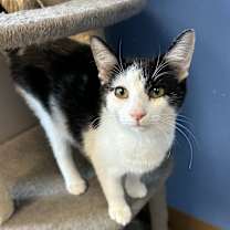 Thumbnail photo of Dixie Lou #1