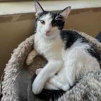 Thumbnail photo of Dixie Lou #2