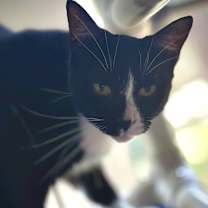 Thumbnail photo of Samantha #1