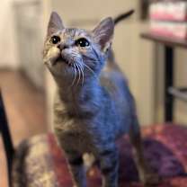 Thumbnail photo of Rayne #4