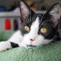 Thumbnail photo of Bubbles #2