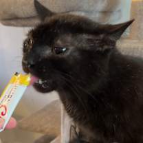 Thumbnail photo of Sprout #3