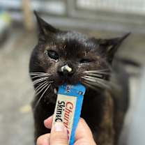 Thumbnail photo of Baby #2