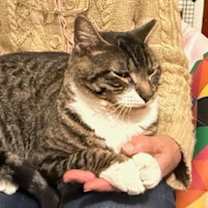 Thumbnail photo of Onya #2