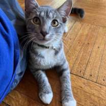 Thumbnail photo of Roger #3