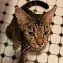 Thumbnail photo of Sk8r #2