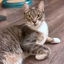 Thumbnail photo of Myles #2