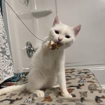 Thumbnail photo of Lucy #4