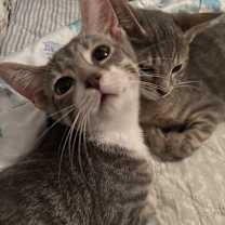 Thumbnail photo of Vandergriff #1