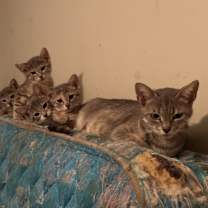 Thumbnail photo of Vandergriff #2