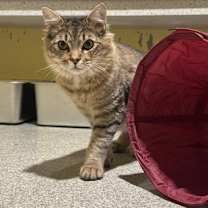 Thumbnail photo of Benedict #1