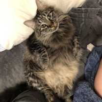 Thumbnail photo of Zoe #4