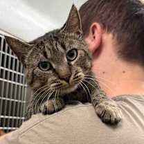 Thumbnail photo of Tiny #1