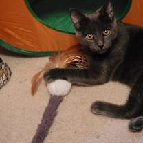 Thumbnail photo of Cash #3