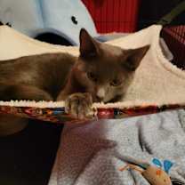 Thumbnail photo of Cash #4