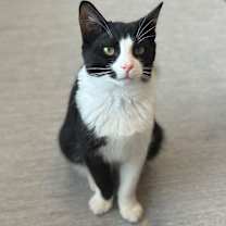 Thumbnail photo of Gym #1