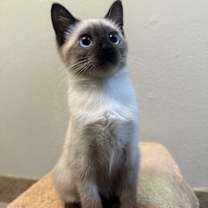 Thumbnail photo of Bitty #2