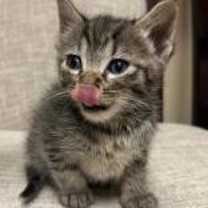 Thumbnail photo of Boots #3