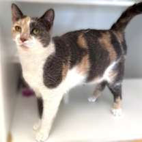 Thumbnail photo of Jasmine #2